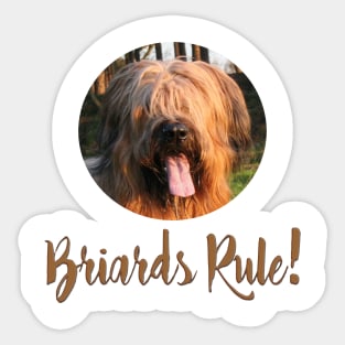 Briards Rule! Sticker